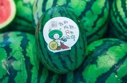 网红新瓜最新爆料,揭秘娱乐圈惊人内幕!