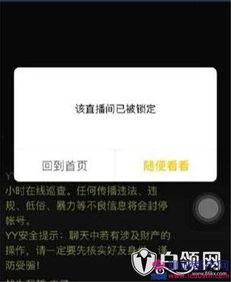 居哥最新爆料消息视频在线观看,揭秘视频内容,带你一探究竟