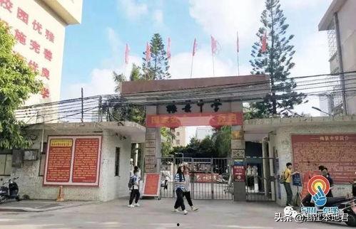 吴川中学爆料案件最新,真相揭开,校园安全再引关注