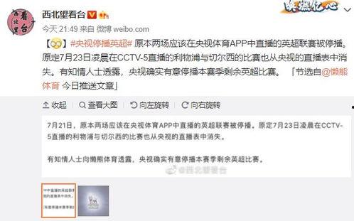 最权威宫瑞婷最新爆料,揭秘娱乐圈惊天秘密!