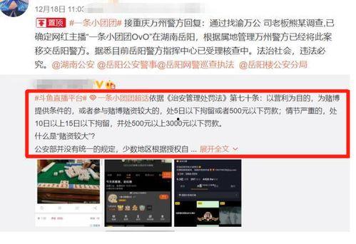 一条小团团最新爆料,揭秘娱乐圈惊人内幕!