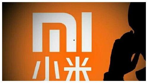 小米高管最新爆料,最新旗舰手机及未来科技布局大曝光!”