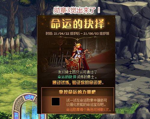 最新勋章服装爆料,荣耀与风采的完美融合